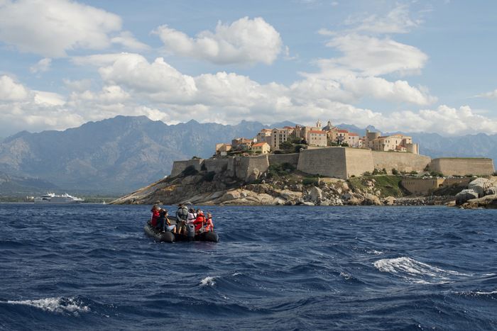 Shore excursions and activities on Le Dumont-d'Urville